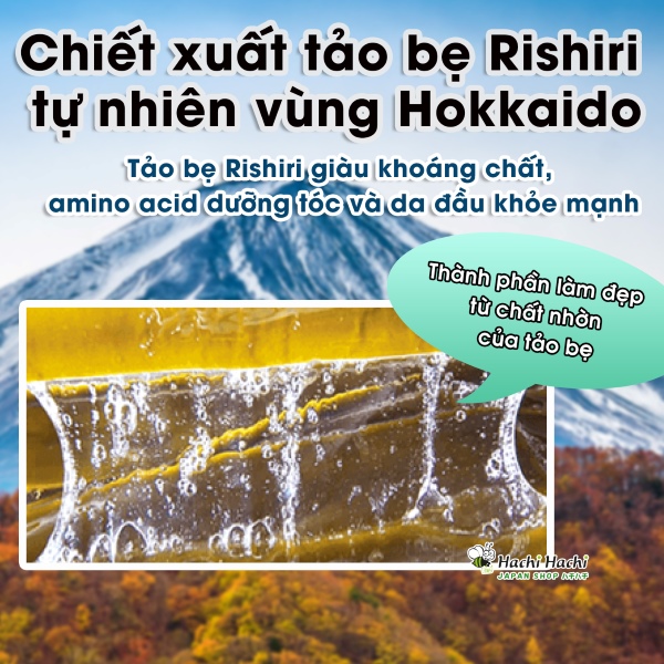 Dau-goi-bo-sung-mau-phu-bac-Rishiri-(1).jpg